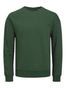 Jack & Jones Einfarbig Sweatshirt mit Rundhals -Mountain View - 12208182