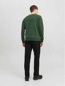Jack & Jones Ensfarvet Sweatshirt med rund hals -Mountain View - 12208182