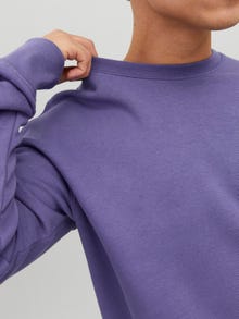 Jack & Jones Ensfarvet Sweatshirt med rund hals -Twilight Purple - 12208182