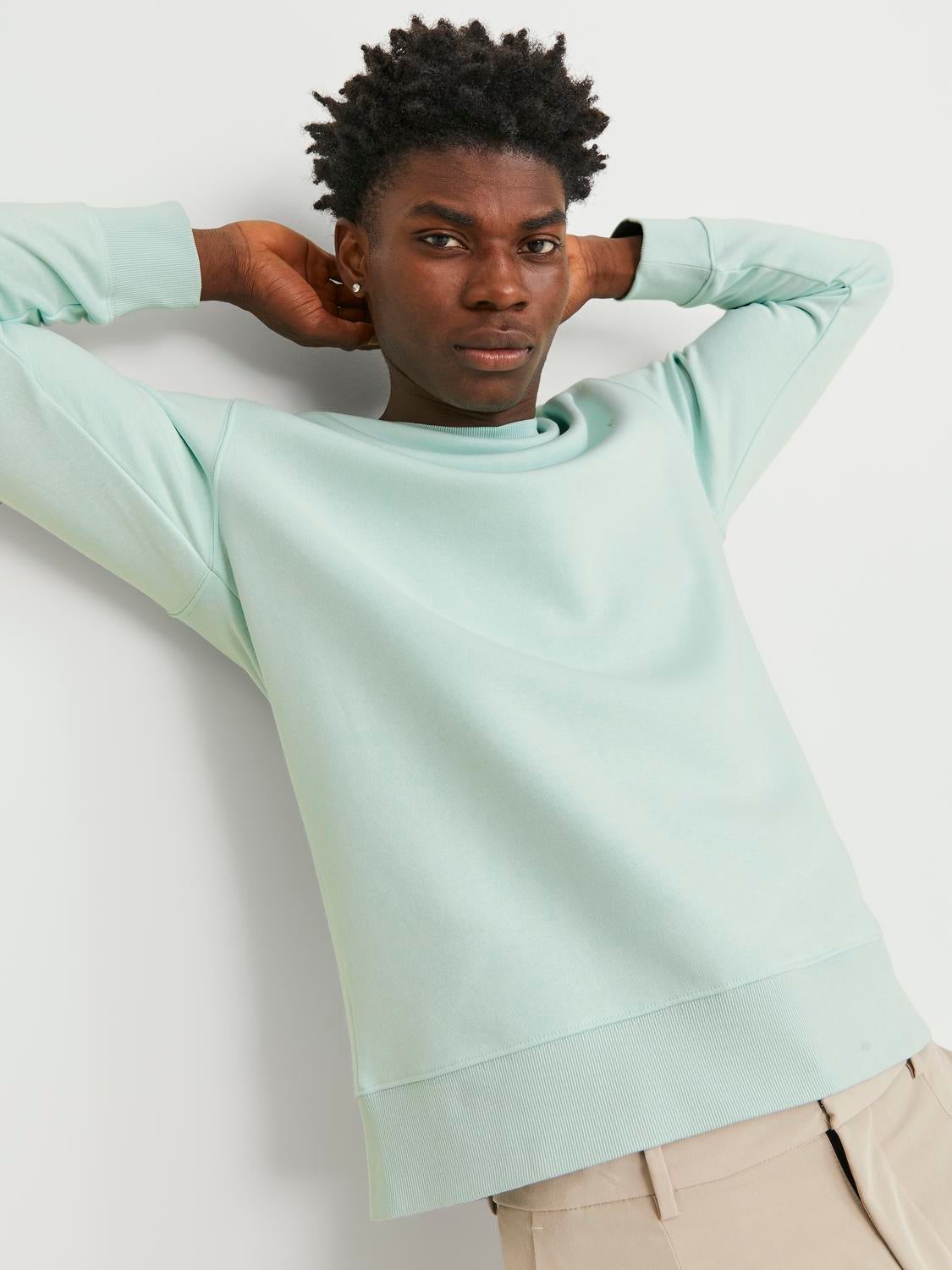 Plain Crew neck Sweatshirt