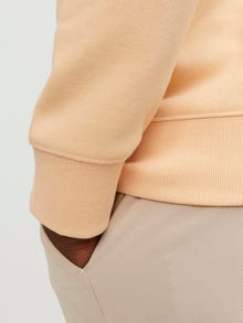 Jack & Jones Ensfarvet Sweatshirt med rund hals -Apricot Ice  - 12208182