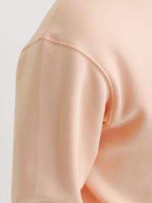 Jack & Jones Yksivärinen Svetari -Peach Parfait - 12208182