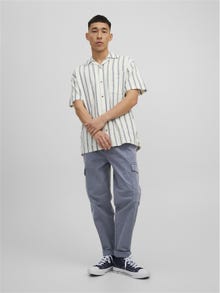 Jack & Jones Wide Fit „Cargo“ stiliaus kelnės -Grasaille - 12210207