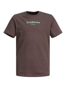 Jack & Jones Poikien Logo T-paita -Seal Brown - 12210254