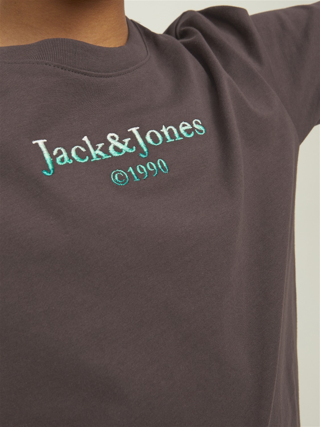Jack & Jones Logo T-skjorte For gutter -Seal Brown - 12210254