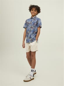 Jack & Jones Regular Fit Šortai For boys -Peyote - 12210818