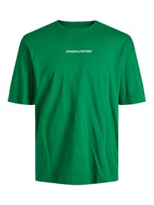 Jack & Jones Teksty Okrągły dekolt T-shirt -Lush Medow - 12210917