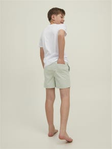 Jack & Jones Regular Fit Swim shorts For boys -Harbor Gray - 12211124