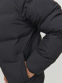 Jack & Jones Puffer jacket -Black - 12211781