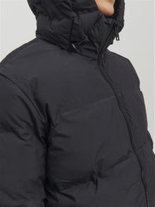 Jack & Jones Puffer jacket -Black - 12211781