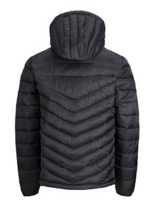 Jack & Jones Steppjacke -Black - 12211785