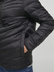 Jack & Jones Steppjacke -Black - 12211785