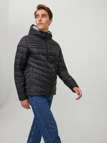 Jack & Jones Kurtka puchowa -Black - 12211785