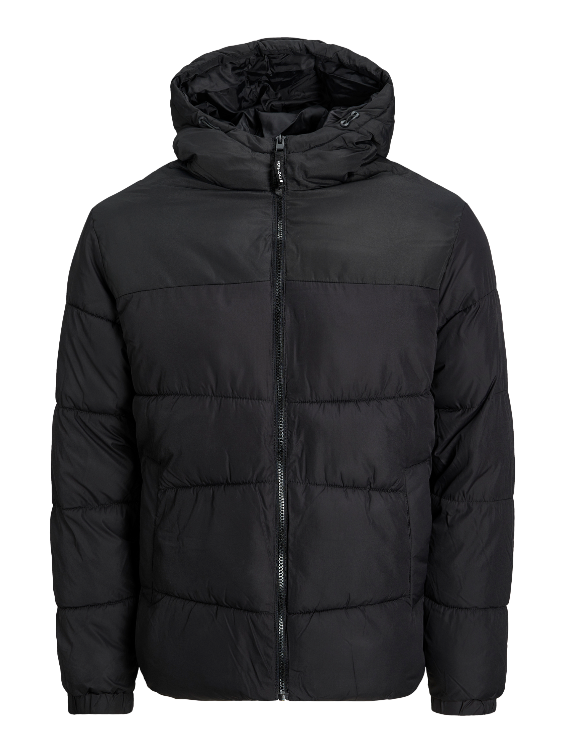 canada goose coastal shell