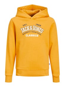 Jack & Jones Logo Hættetrøje Til drenge -Honey Gold - 12212287