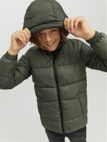 Jack & Jones Puffer jas Voor jongens -Rosin - 12212402