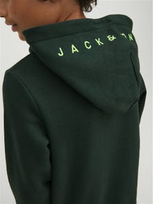 Jack & Jones Logo Hoodie Junior -Pine Grove - 12213100