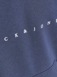 Jack & Jones Logo Hættetrøje Til drenge -Navy Blazer - 12214983