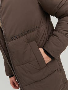 Jack & Jones Puffer jacket -Seal Brown - 12215283