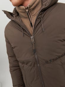 Jack & Jones Puffer jacket -Seal Brown - 12215283