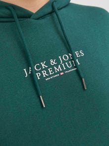 Jack & Jones Hoodie Logo -Ponderosa Pine - 12216335
