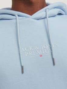 Jack & Jones Logo Kapuutsiga pusa -Skyway - 12216335