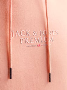 Jack & Jones Consigue el look - 2111202697