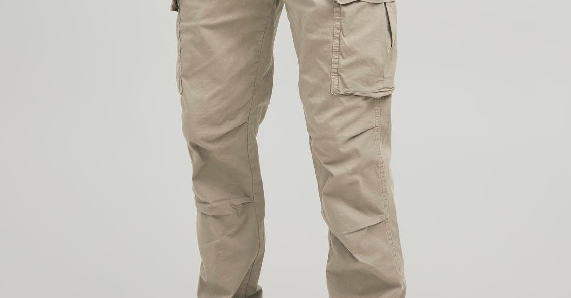 Pantalon cargo Carrot Fit Gris beige en coton