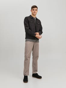 Jack & Jones Regular Fit Chino pants -Falcon - 12216976