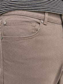 Jack & Jones Regular Fit Chino pants -Falcon - 12216976