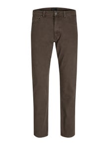 Jack & Jones Calças Chino Regular Fit -Chocolate Brown - 12216976