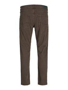 Jack & Jones Calças Chino Regular Fit -Chocolate Brown - 12216976