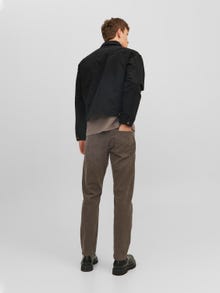 Jack & Jones Regular Fit Chino pants -Chocolate Brown - 12216976