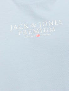 Jack & Jones Logo Ümmargune kaelus T-särk -Skyway - 12217167
