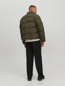 Jack & Jones Täckjacka -Lush Medow - 12217531