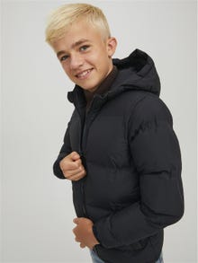 Jack & Jones Puffer jacket For boys -Black - 12218159