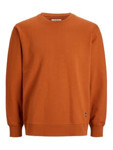 Jack & Jones RDD Enfärgat Crewneck tröja -Cinnamon Stick - 12218242