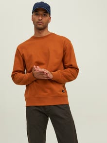 Jack & Jones RDD Ensfarvet Sweatshirt med rund hals -Cinnamon Stick - 12218242