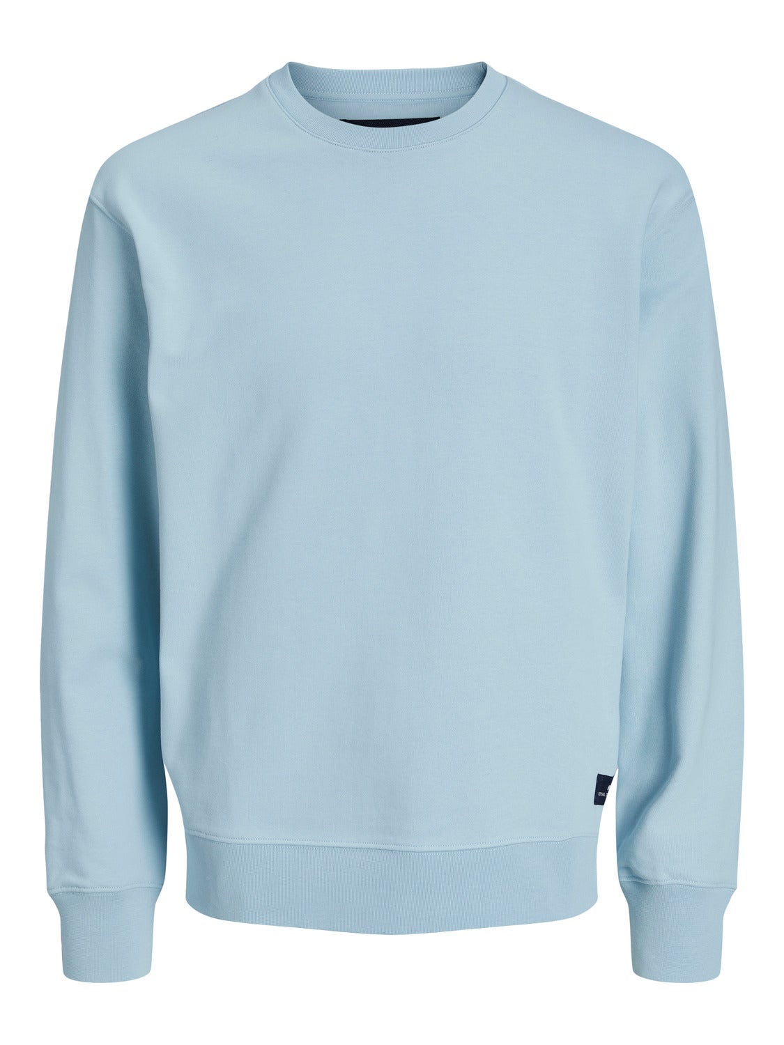 Plain 2025 blue sweatshirt