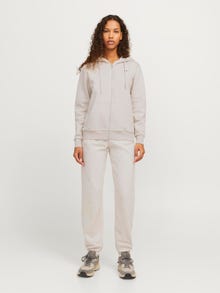 JJXX JXABBIE Sporta bikses -Moonbeam - 12223960