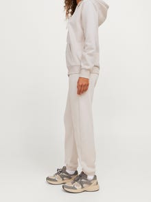 JJXX JXABBIE Sporta bikses -Moonbeam - 12223960