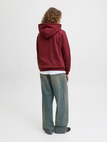 JJXX JXABBIE Kapuzenpullover -Cabernet - 12223961