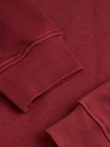 JJXX JXABBIE Kapuzenpullover -Cabernet - 12223961