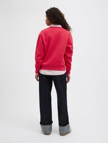 JJXX JXABBIE Sweatshirts -Barberry - 12223962