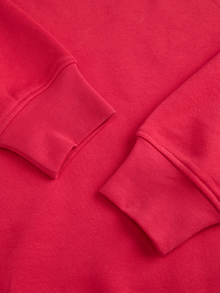 JJXX JXABBIE Sweatshirts -Barberry - 12223962