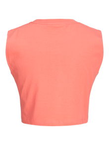 JJXX JXALVIRA T-shirts -Peach Echo - 12224211