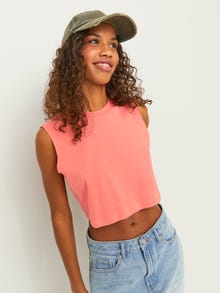 JJXX JXALVIRA T-shirts -Peach Echo - 12224211