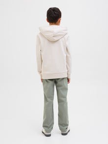 Jack & Jones Adoptez le look - 2111203103