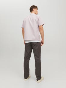 Jack & Jones Regular Fit Kurorto marškiniai -Crockery - 12227681
