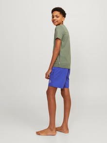 Jack & Jones Poikien Regular Fit Uimashortsit -Bluing - 12228535